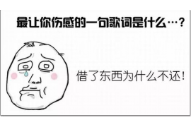 催收个人律师函模板：助您高效维权