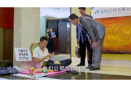 泰兴威尼斯城讨债电话：揭秘债务追收的神秘面纱