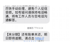 京东白条发上门催收短信：揭秘背后的催收策略与应对之道
