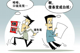 催收整改方案怎么写：全面指南与案例分析