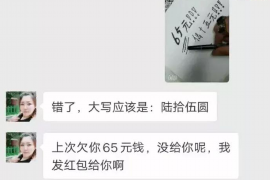 无人机贷款催收：创新金融手段助力风险管理