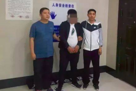 辽宁阜新是什么催收？揭秘催收行业的奥秘