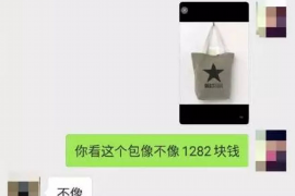 龙岗要钱公司怎么收费？全面解析收费标准与透明度