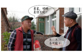 皮卡丘讨债的正确方式：动漫中的智慧与趣味