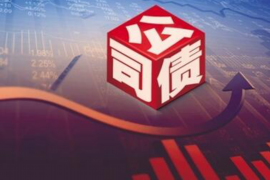 深圳湾游艇会讨债：一场高端娱乐场所的债权风波