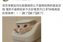 葫芦岛个人讨债公司：专业解决债务难题的贴心伙伴
