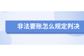 石家庄氐宿催收公司：专业高效的债务催收服务